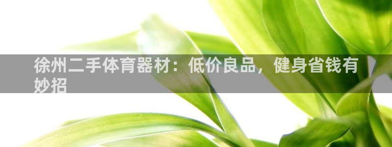 极悦平台是正规平台吗安全吗是真的吗：徐州二手体育器材