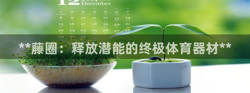 极悦娱乐官网下载：**藤圈：释放潜能的终极体育器材*