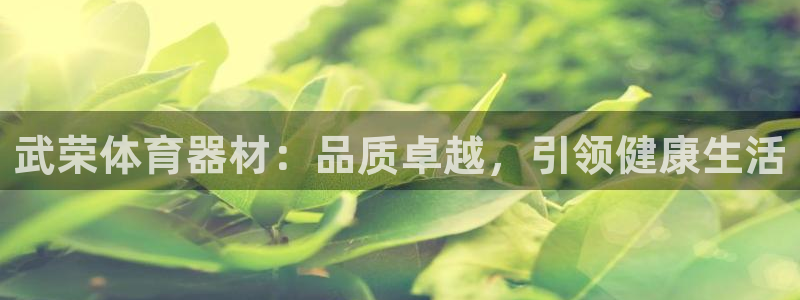 极悦娱乐公司最新招聘信息：武荣体育器材：品质卓越，引
