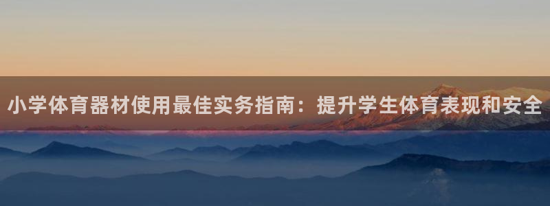 极悦平台客服团队怎么样：小学体育器材使用最佳实务指南