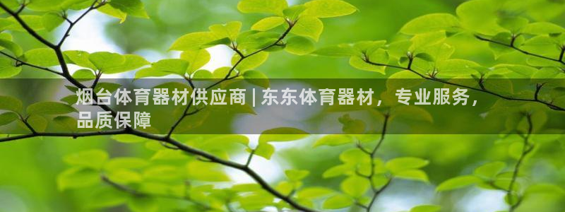 极悦平台与网易合作详情：烟台体育器材供应商 | 东东