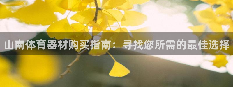 极悦平台官网入口网址：山南体育器材购买指南：寻找您所