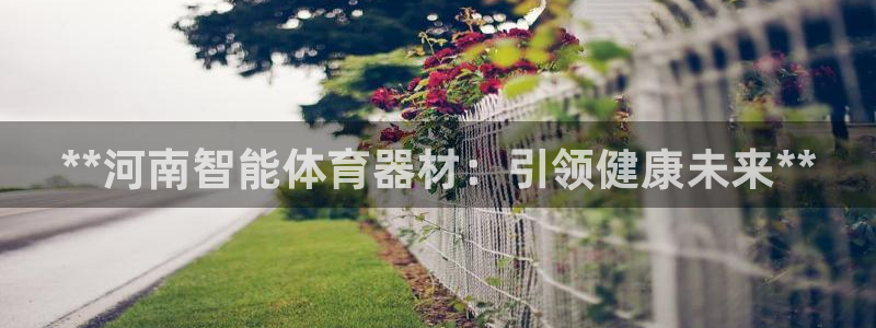 极悦娱乐官网下载：**河南智能体育器材：引领健康未来