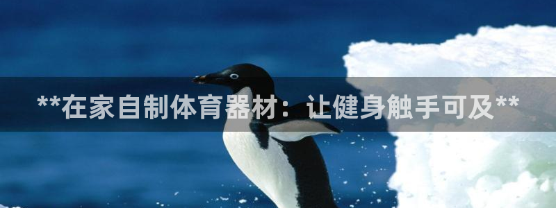 极悦平台注册流程详解：**在家自制体育器材：让健身触