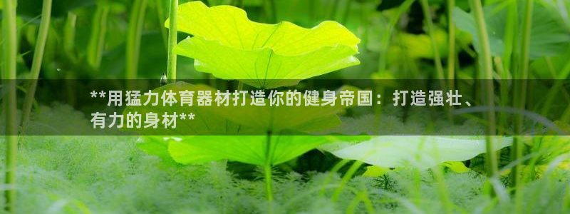 极悦平台app安全吗可靠吗：**用猛力体育器材打造你