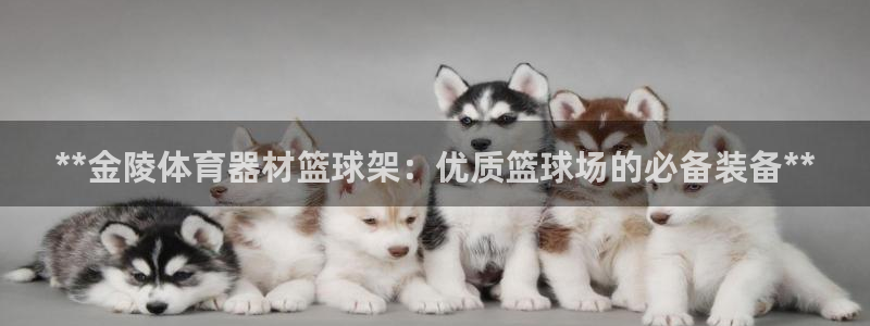极悦娱乐代理人是谁：**金陵体育器材篮球架：优质篮球