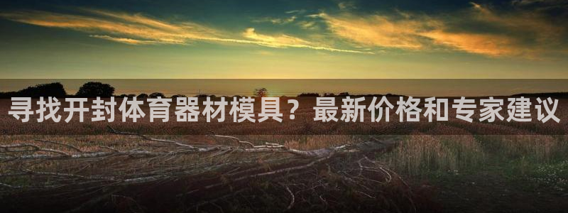 极悦平台注册用户名验证不了：寻找开封体育器材模具？最