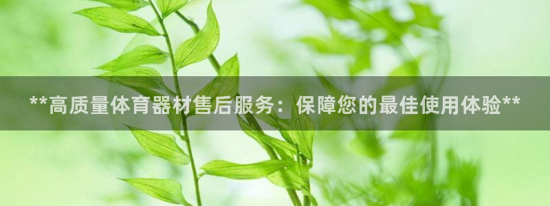 极悦平台注册用户名格式是什么：**高质量体育器材售后服务：保