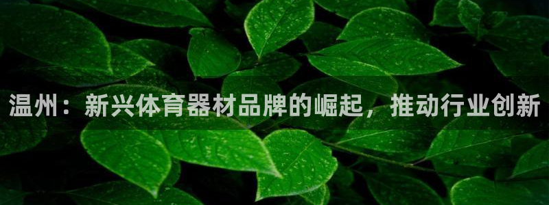 极悦娱乐代理多少钱：温州：新兴体育器材品牌的崛起，推动行业创