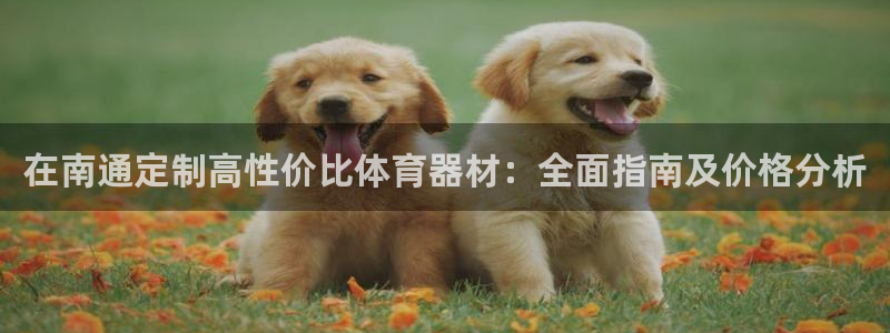 极悦平台官方网站入口网址：在南通定制高性价比体育器材