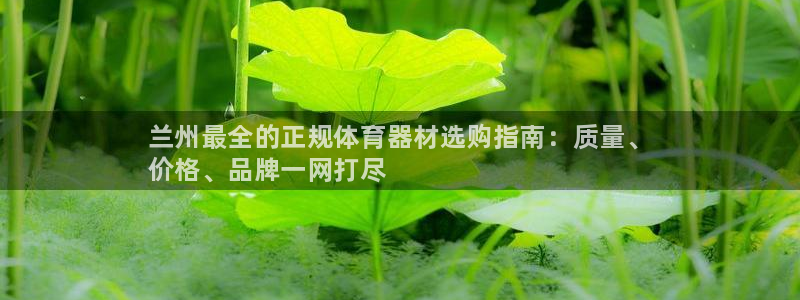 极悦平台代理怎么做的