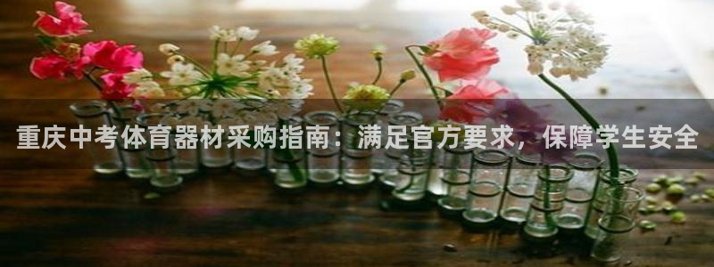 极悦娱乐登录拒绝访问怎么办：重庆中考体育器材采购指南：满足官