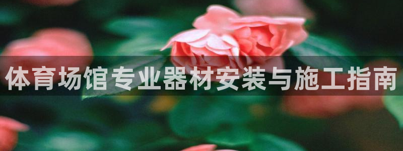 极悦平台注册用户名格式：体育场馆专业器材安装与施工指南