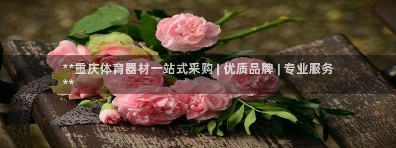 极悦平台app安全吗：**重庆体育器材一站式采购 | 优质品