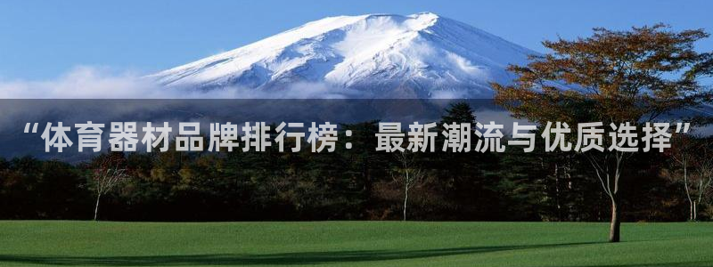 极悦平台注册流程图片：“体育器材品牌排行榜：最新潮流与优质选