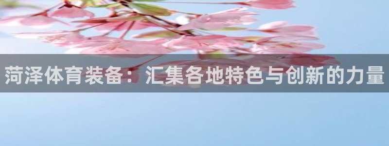 极悦平台是干嘛的啊：菏泽体育装备：汇集各地特色与创新的力量