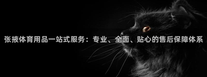 极悦平台是正规平台吗知乎：张掖体育用品一站式服务：专业、全面