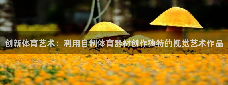 极悦平台客服投诉电话是多少号码：创新体育艺术：利用自制体育器