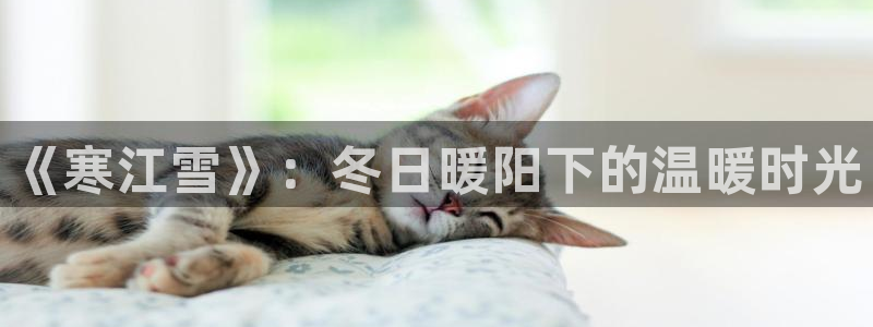 yy6688首播影院：《寒江雪》：冬日暖阳下的温暖时光