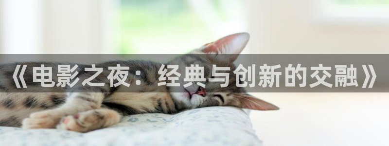 4yy首播影院：《电影之夜：经典与创新的交融》