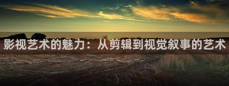 4480首播影院：影视艺术的魅力：从剪辑到视觉叙事的艺术